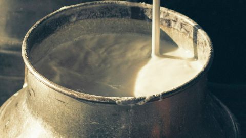 Un broc en métal de lait cru