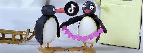 02-04-pebbling Un couple de pingus avec le logo TikTok
