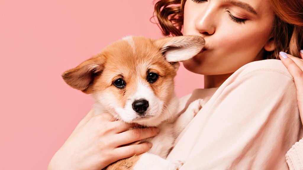 Un chiot dans les bras d'une jeune femme