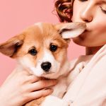 Un chiot dans les bras d'une jeune femme