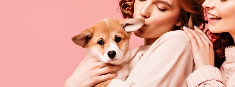 Pet tech : Votre animal de compagnie est-il prêt pour un collier compteur de calories et un robot nounou ? Un chiot dans les bras d'une jeune femme