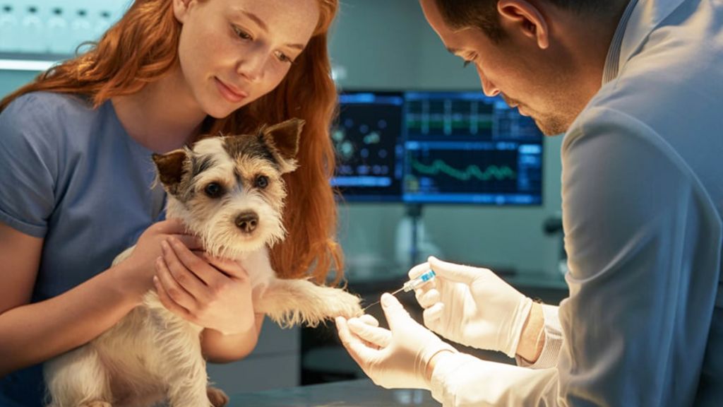 Une jeune femme présente son chien pour un prélèvement de sang