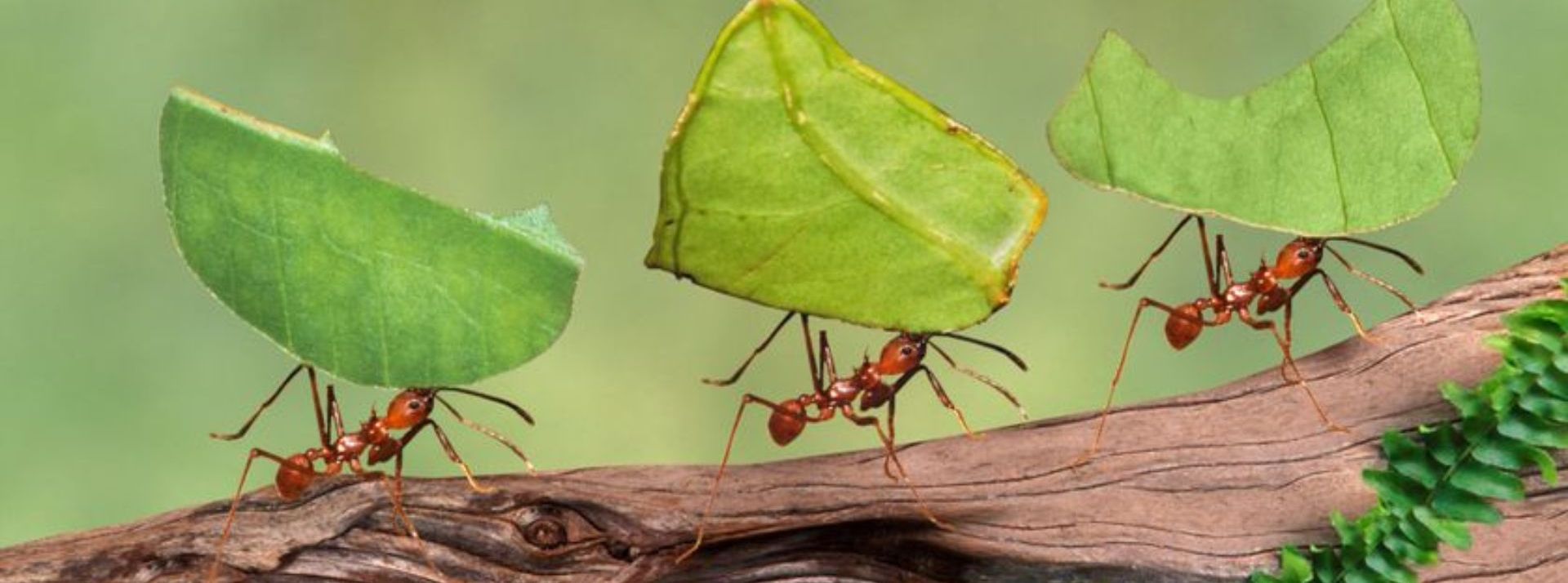 Design sans titre (7) Design sans titre (7)