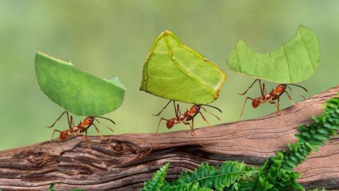 Design sans titre (7)