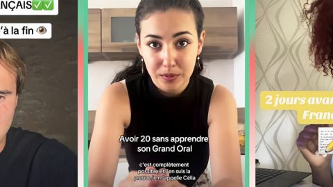 Captures de comptes TikTok de révisions pour le bac