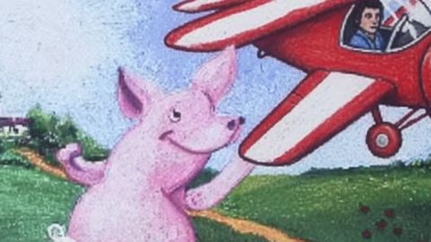 Un avion rouge près d'un cochon