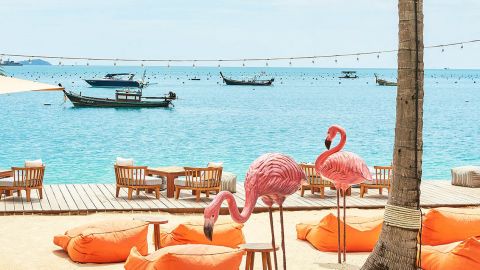 26-09-goodtips-badtrip