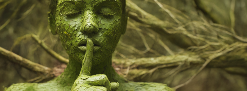 greenhushing-11-09 une femme verte qui dit chut