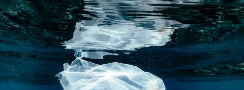 naja-bertolt-jensen-bN_pgc53NO4-unsplash naja-bertolt-jensen-bN_pgc53NO4-unsplash