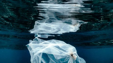 naja-bertolt-jensen-bN_pgc53NO4-unsplash naja-bertolt-jensen-bN_pgc53NO4-unsplash
