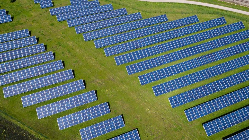 Un champ de photovoltaïques