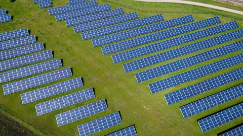 Un champ de photovoltaïques