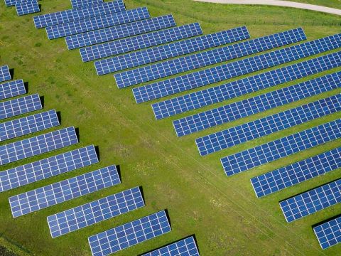Un champ de photovoltaïques