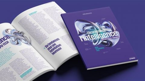 KPMG livre