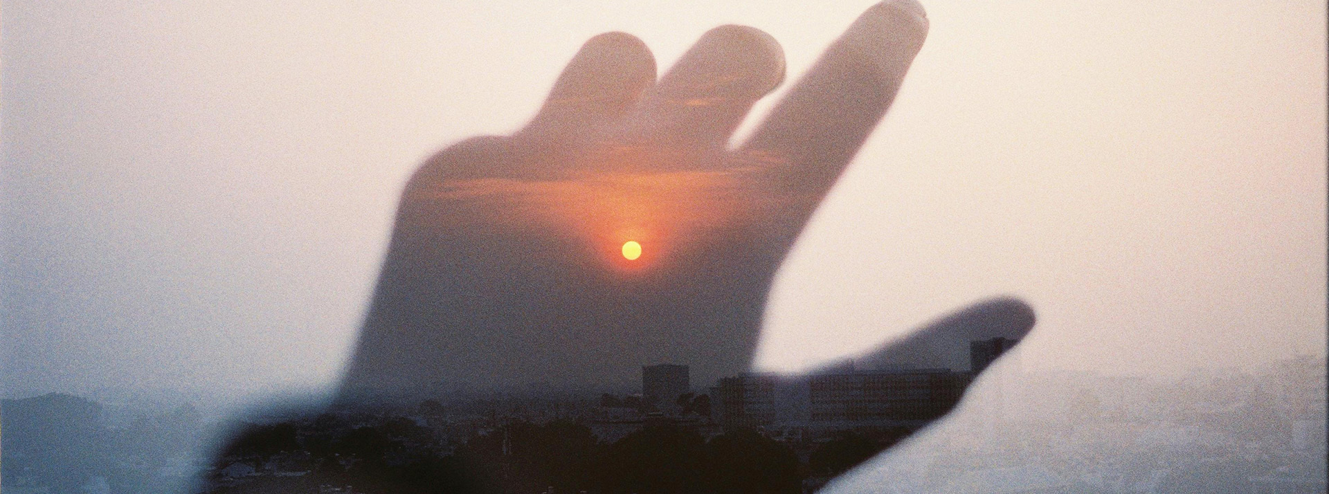 stayhereforu - L'ADN