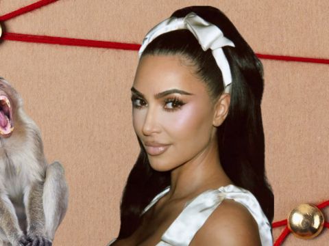 Elon Musk, un singe, Kim Kardashian et Daniel Amen, psychiatre américaian