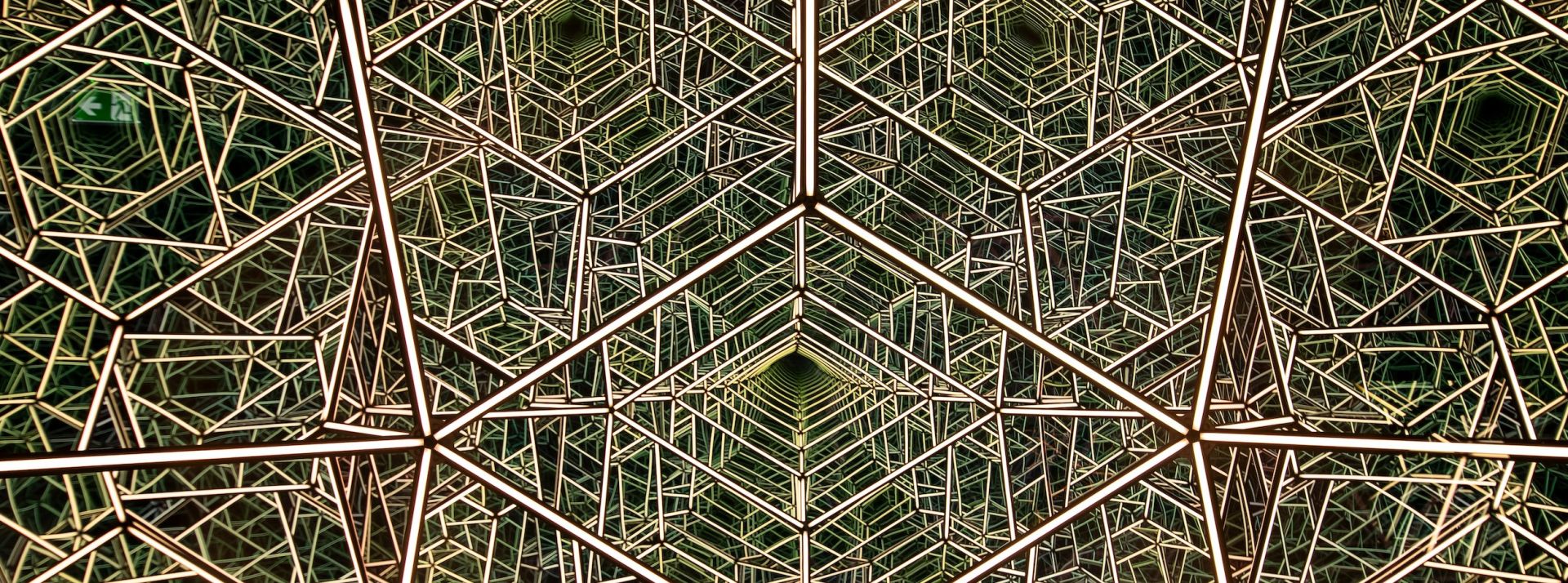 ruth-gledhill-yzvI9WLx37Q-unsplash - L'ADN
