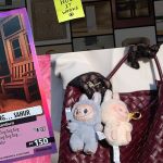 Différentes tendances : Labubus