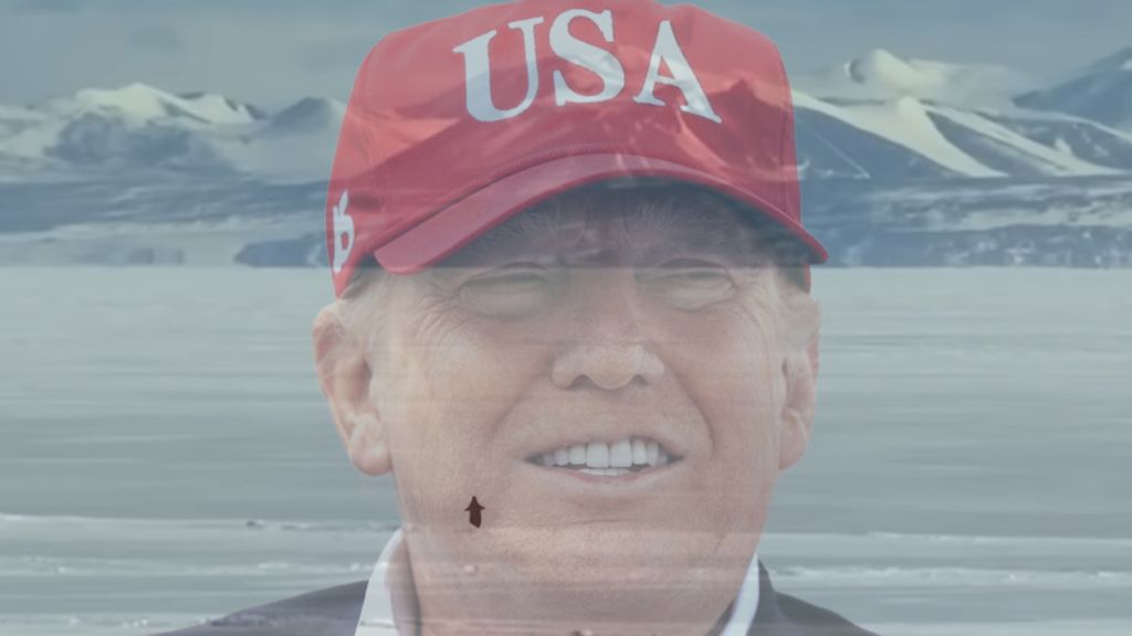 un manchot qui part vers les montagne