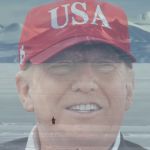 un manchot qui part vers les montagne