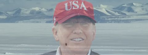 16-02-penguin un manchot qui part vers les montagne