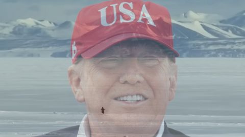 un manchot qui part vers les montagne