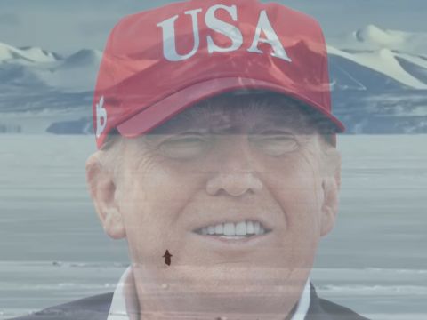 un manchot qui part vers les montagne