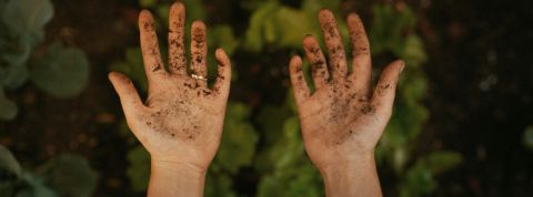 kyle-barr-A_p-TL4RS-c-unsplash kyle-barr-A_p-TL4RS-c-unsplash