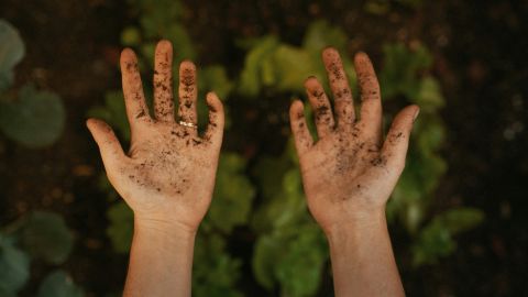 kyle-barr-A_p-TL4RS-c-unsplash