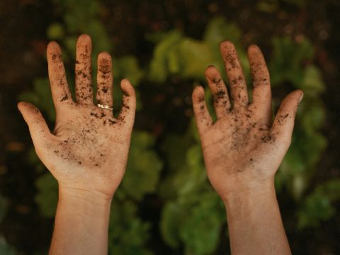 kyle-barr-A_p-TL4RS-c-unsplash