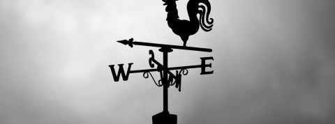 pexels-mat-brown-150387-552600