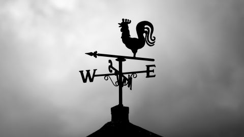 pexels-mat-brown-150387-552600