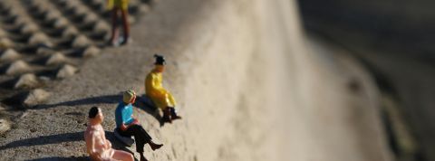 pexels-zoorg-1000489