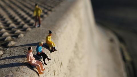 pexels-zoorg-1000489