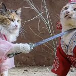 Une chatte met son épée sur le cou d'un chat, tous deux sont en costumes impériaux