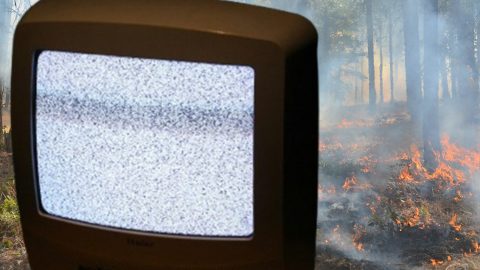 Un écran de TV qui grésille devant une forêt en feu