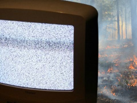 Un écran de TV qui grésille devant une forêt en feu