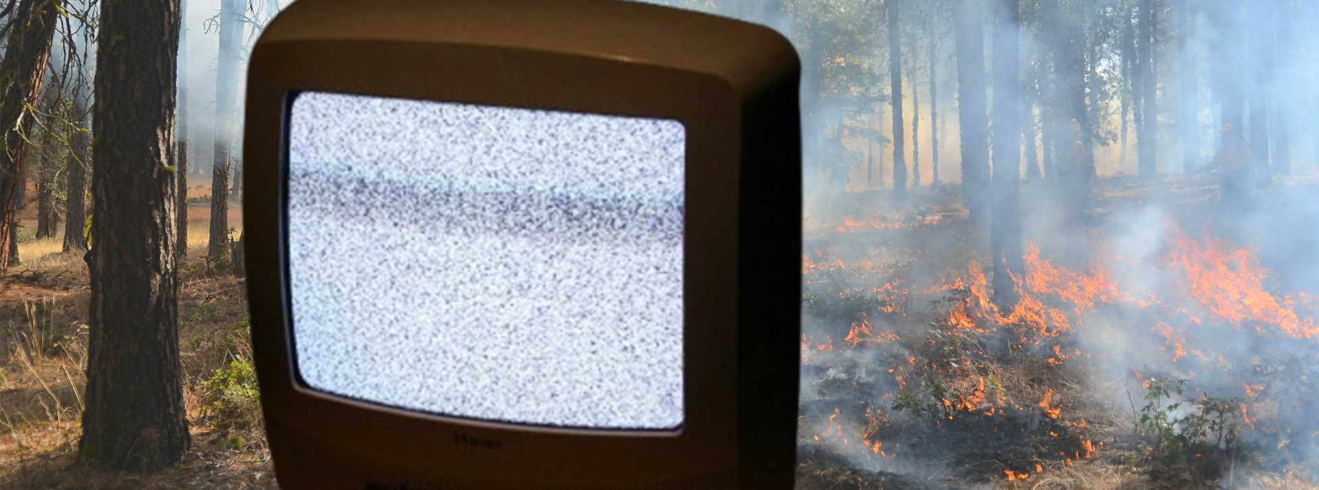 08-04-climat-disparait - L'ADN Un écran de TV qui grésille devant une forêt en feu