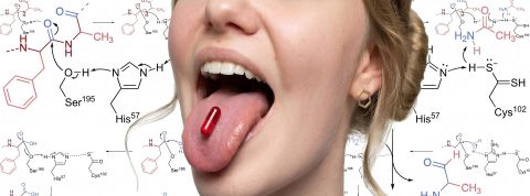 De Reddit aux conseils d'administration : comment les labos récupèrent la mise de la « peptide craze » Gros plan sur une bouche de jeune femme avec une gélule rouge sur la langue