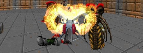 14-09-mouche-Doom
