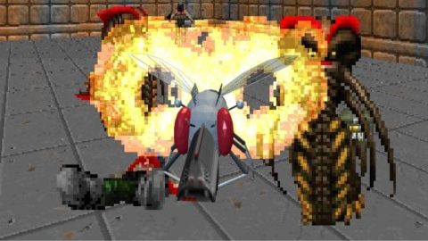 14-09-mouche-Doom