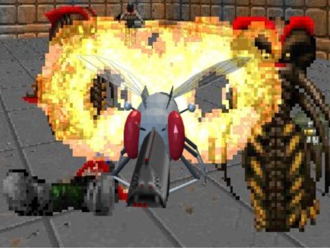 14-09-mouche-Doom