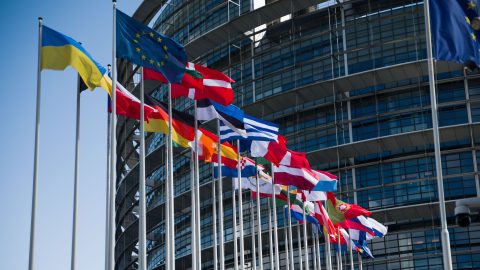 Row of colorful national flags on flagpoles in front of a modern glass office building against a blue sky.