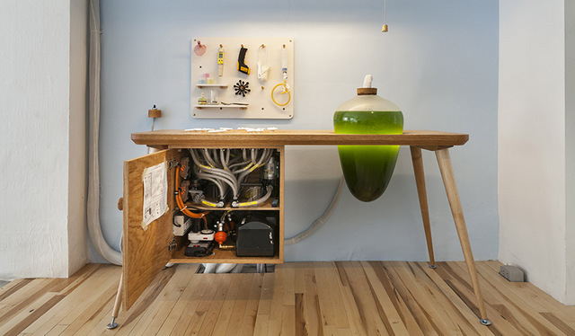 Algue -spiruline - Jacob Douenias - Ethan Frier - Living Things