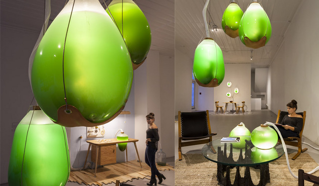 Algue -spiruline - Jacob Douenias - Ethan Frier - Living Things