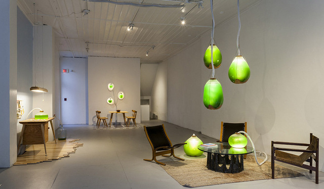 Algue -spiruline - Jacob Douenias - Ethan Frier - Living Things