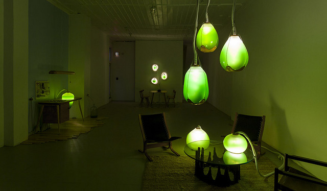 Algue -spiruline - Jacob Douenias - Ethan Frier - Living Things