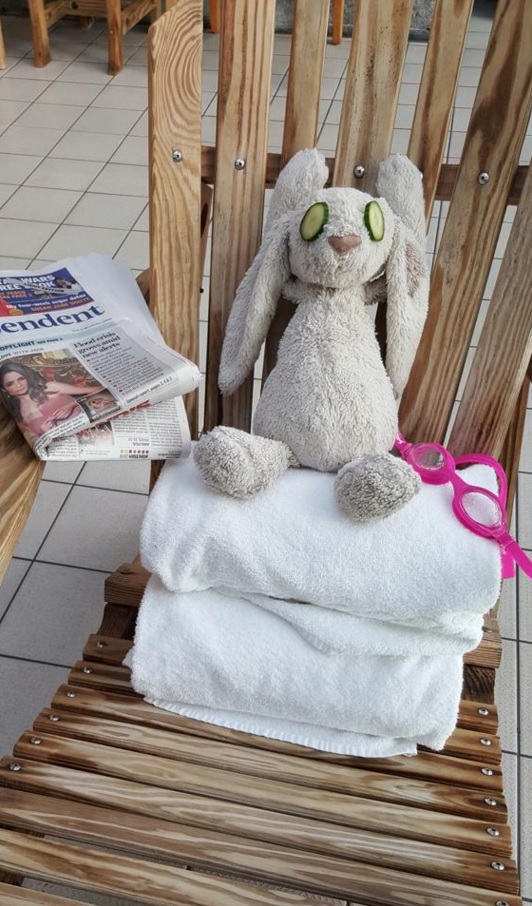 Lapin perdu &agrave; l'h&ocirc;tel