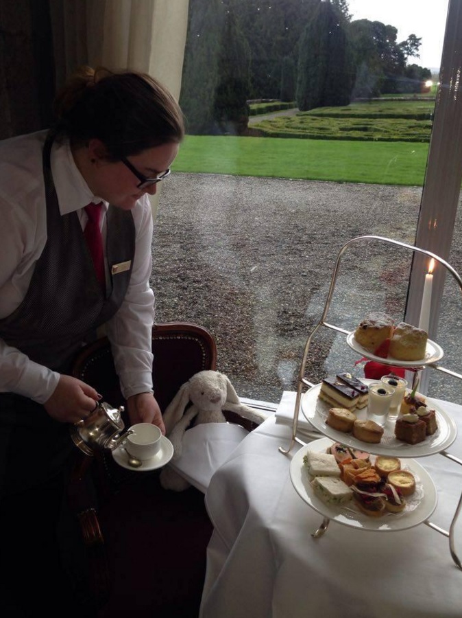 Lapin perdu &agrave; l'h&ocirc;tel