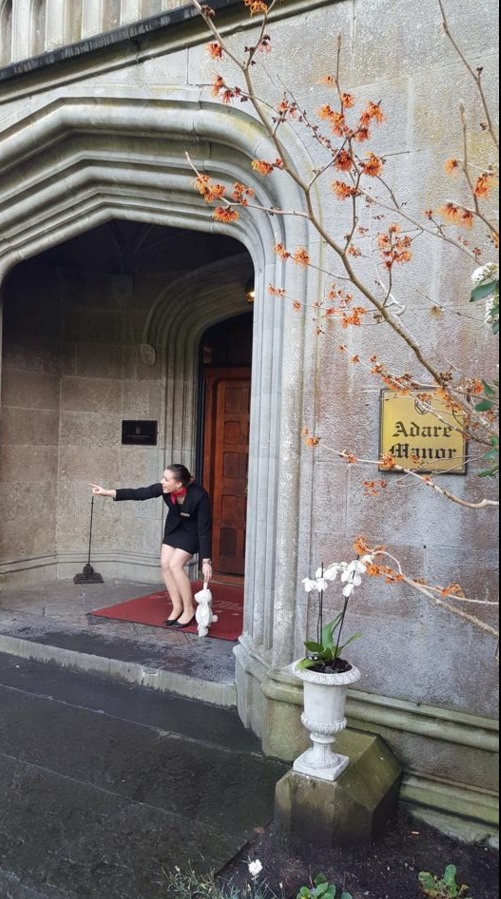 Lapin perdu &agrave; l'h&ocirc;tel